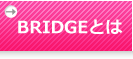 BRIDGEɂ